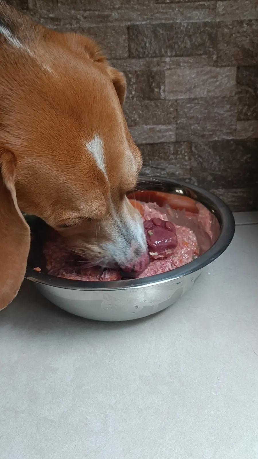 Comida natural BARF para Husky Siberiano en Quito
