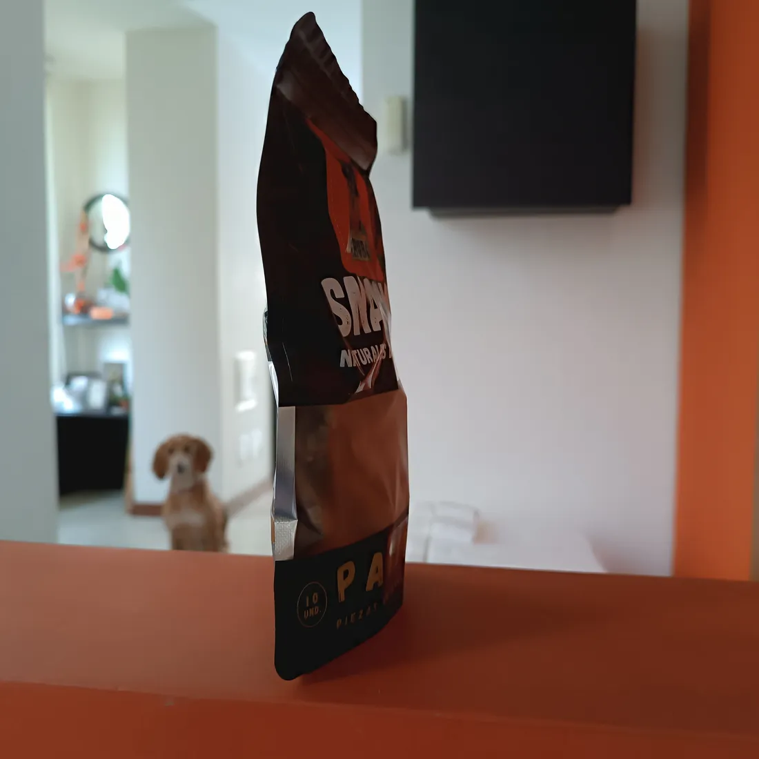 Tu perro tiene la piel grasosa y huele a poco de bañarlo
