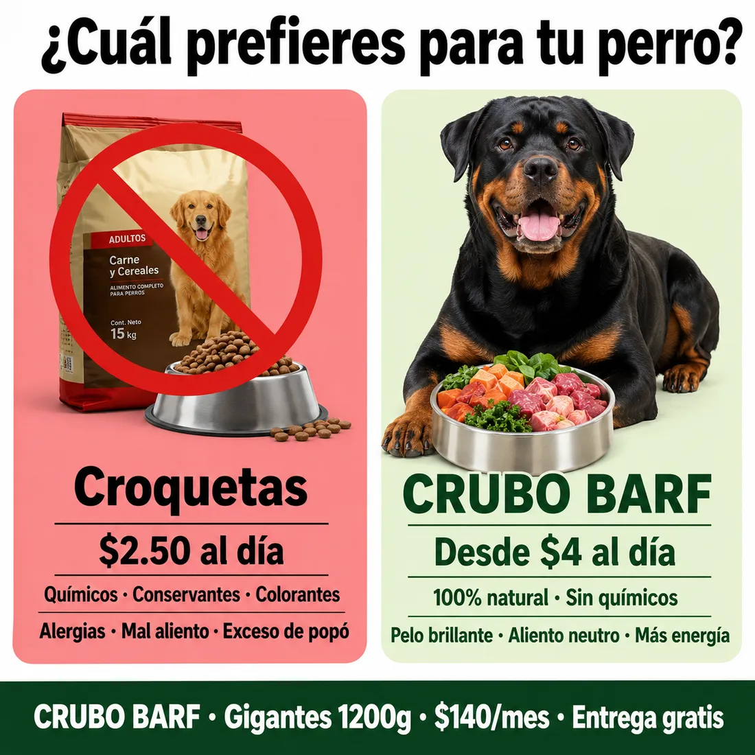 Tu perro vive con gases, heces blandas o vómitos: su digestión te lo está diciendo