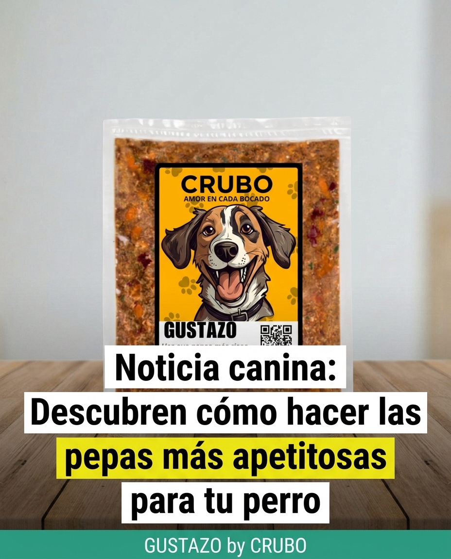 Los dueños de perros que mejor alimentan a sus mascotas tienen algo en común.