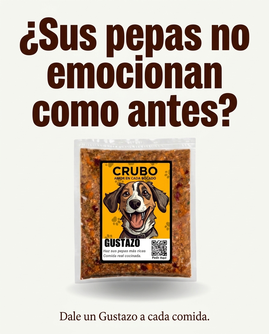 ¿Tu perro come con entusiasmo o porque toca?