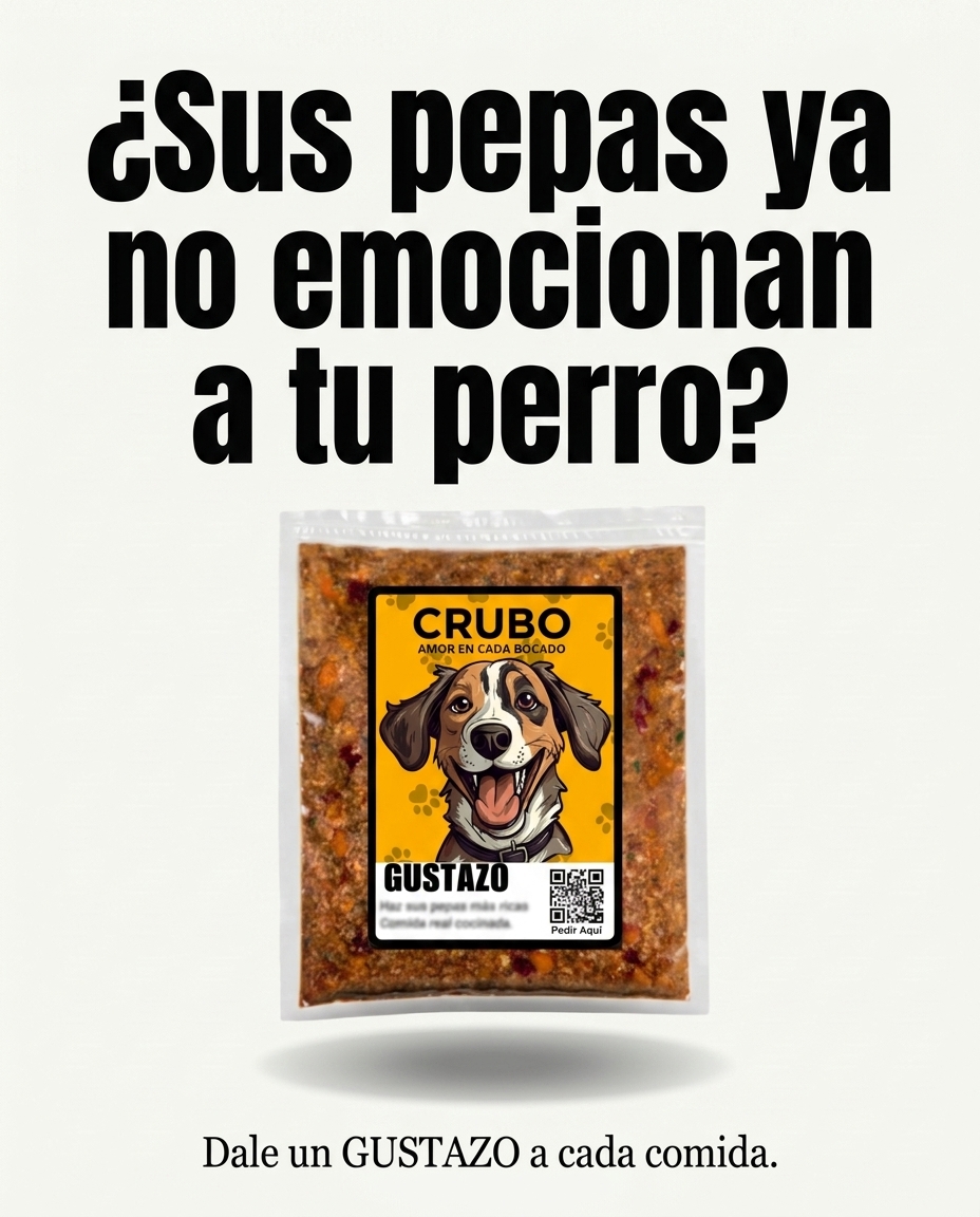 ¿Cuál es el mejor alimento para un perro?